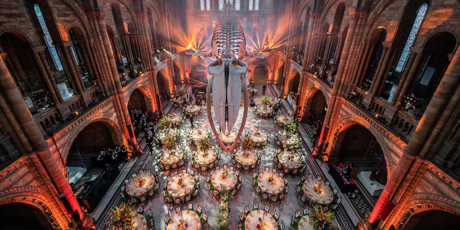 National History Museum Unique Corporate Awards Ceremony